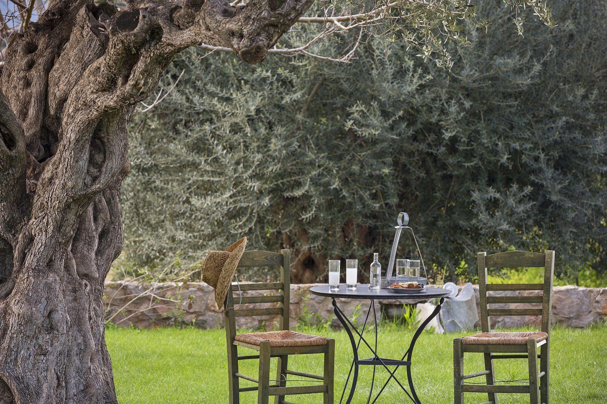 Maison d'hôtes Agroktima à Leonídion Extérieur photo